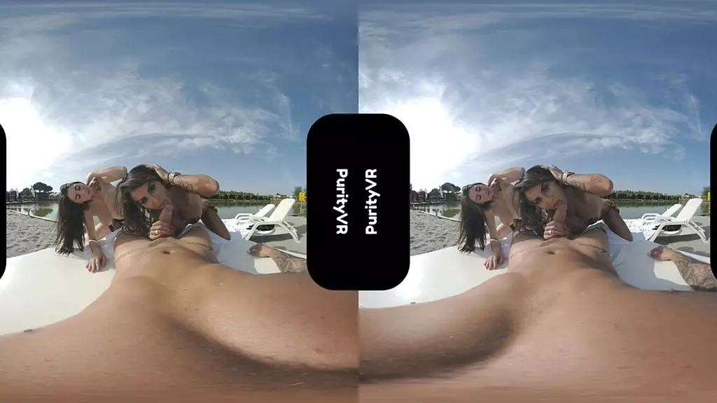 the swingers vr porn