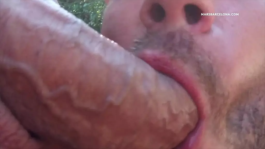 gay cruising outdoor blowjob compilation