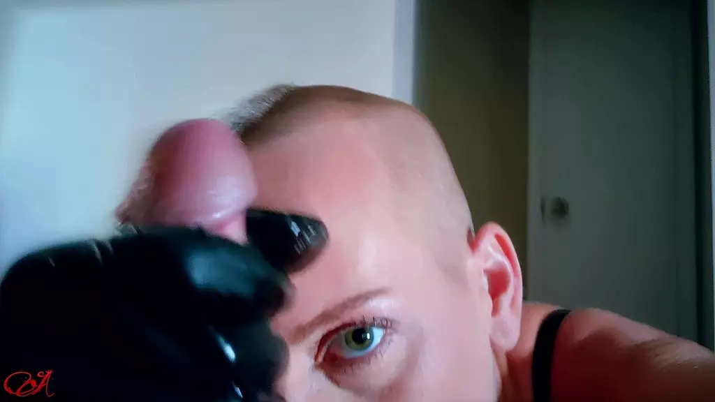 gloved pov blowjob