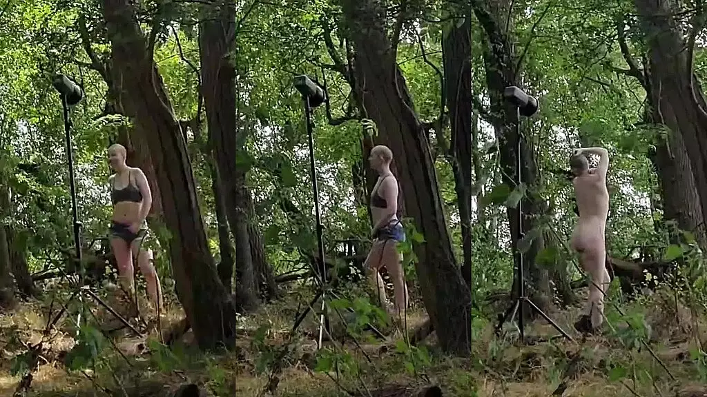 imagine you went for a walk in the woods and stumbled upon something interesting... ??